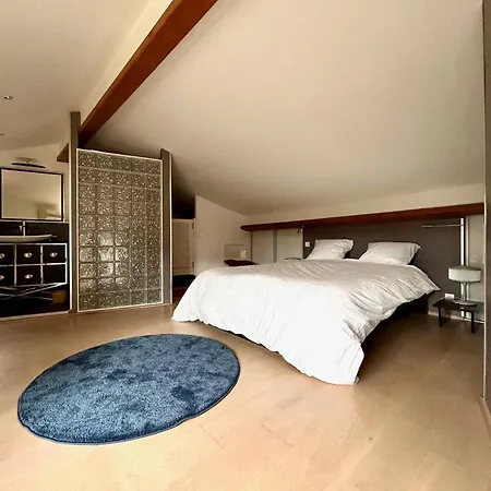Loft Garonne - Centre Immeuble Privatif * Tuluza