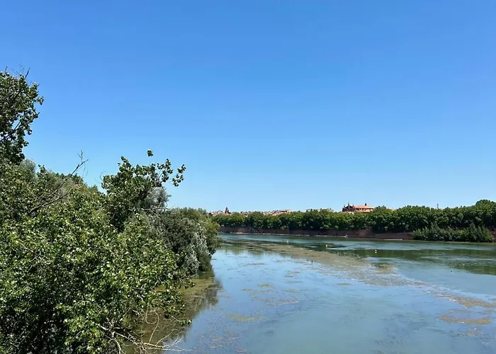 Tatil Evi Loft Garonne - Centre Immeuble Privatif