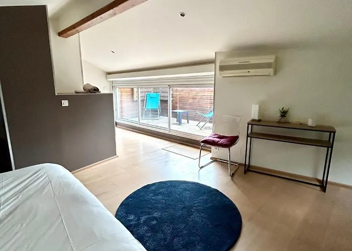 Tatil Evi Loft Garonne - Centre Immeuble Privatif Toulouse